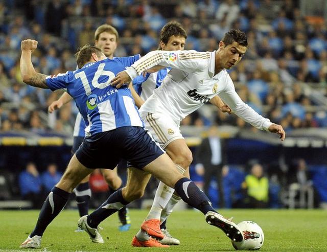 他们不仅在 他们不仅在